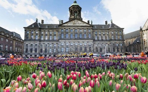 معرفی شرایط تحصیل در هلند (بخش دوم)
