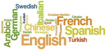 افراد چند زبانه در مقایسه با کسانی‌که یک زبان می‌دانند