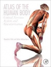 کتاب اطلس آف هیومن بادی Atlas of the Human Body: Central Nervous System and Vascularization 1st Edition2017