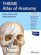 کتاب هد نک اند نوروآناتومی 2020 Head, Neck, and Neuroanatomy (THIEME Atlas of Anatomy) 3rd Edition