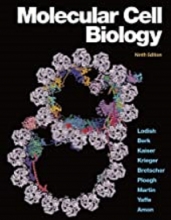 کتاب مولکولار سل بیولوژی Molecular Cell Biology Ninth Edition 2021
