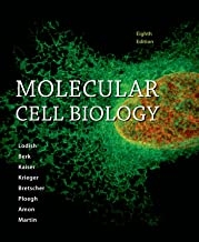 کتاب مولکولار سل بیولوژی Molecular Cell Biology