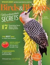 کتاب مجله انگلیسی بردز اند بلومز Birds & Blooms - August/September 2022