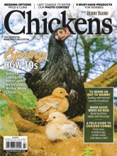 کتاب مجله انگلیسی چیکنز Chickens - Vol. 13 No. 2, March/April 2022