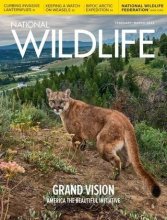 کتاب مجله انگلیسی نشنال وایلد لایف National Wildlife - February/March 2022