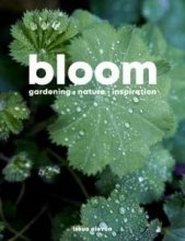 کتاب مجله انگلیسی بلوم Bloom - Issue 11, 2022