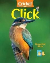 کتاب مجله انگلیسی کریکت کلیک Click - May 2022