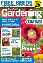 کتاب مجله انگلیسی آماتور گاردنینگ Amateur Gardening - November 12, 2022