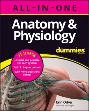کتاب آناتومی اند فیزیولوژی Anatomy & Physiology All-in-One For Dummies (+ Chapter Quizzes Online) 1st Edition