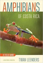 کتاب امفیبینز آف کاستاریکا Amphibians of Costa Rica A Field Guide Zona Tropical Publications