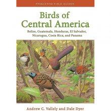 کتاب بردز آف سنترال امریکا Birds of Central America Belize Guatemala Honduras El Salvador Nicaragua Costa Rica and Panama