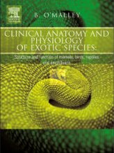 کتاب کلینیکال آناتومی اند سایکولوژی آف اکساتیک اسپیسز Clinical Anatomy and Physiology of Exotic Species Structure and function o
