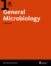 کتاب جنرال میکروبیولوژی General Microbiology 1st Edition