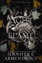 کتاب رمان نوری در شعله A Light in the Flame