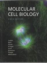 کتاب ملکولار سل بیولوژی Molecular Cell Biology