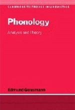 کتاب فونولوژی آنالیزیز اند تئوری Phonology Analysis and Theory