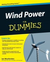 کتاب ویند پاور فور دامیز Wind Power For Dummies