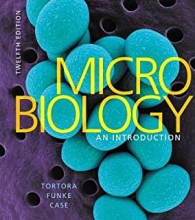 کتاب میکروبیولوژی ان اینتروداکشن Microbiology: An Introduction, Books a la Carte Edition
